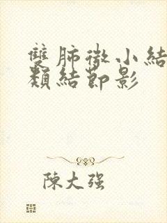 双肺微小结节及类结节影