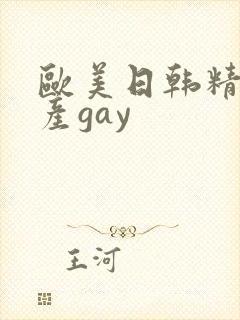 欧美日韩精品国产gay封面