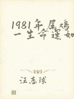 1981年属鸡一生命运如何女