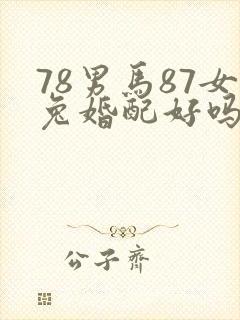 78男马87女兔婚配好吗封面