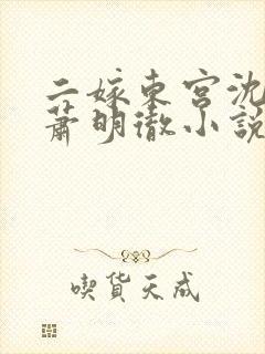 二嫁东宫沈雨燃萧明彻小说免费阅读全文