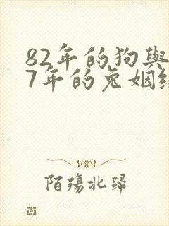 82年的狗与87年的兔姻缘