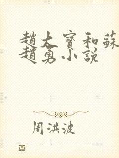 赵大宝和苏媚和赵勇小说