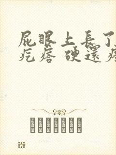 屁眼上长了一个疙瘩 硬还疼封面