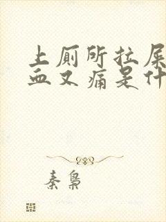 上厕所拉屎拉出血又痛是什么原因