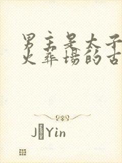 男主是太子追妻火葬场的古言