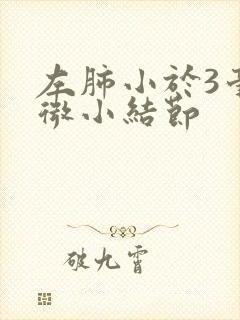 左肺小于3毫米微小结节封面