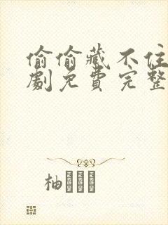 偷偷藏不住电视剧免费完整版