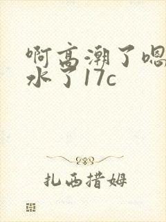 啊高潮了嗯～喷水了17c封面