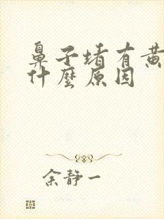 鼻子堵有黄痰是什么原因