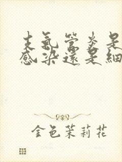 支气管炎是病毒感染还是细菌感染