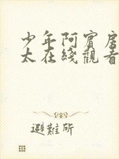 少年阿宾房东太太在线观看