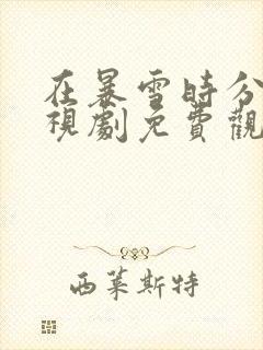 在暴雪时分 电视剧免费观看