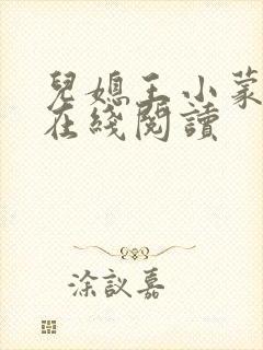 儿媳王小蒙小说在线阅读