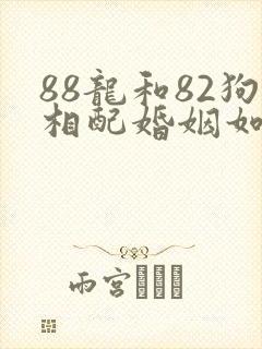 88龙和82狗相配婚姻如何