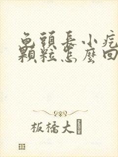 龟头长小疙瘩小颗粒怎么回事