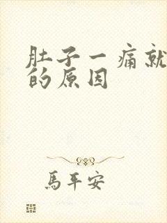 肚子一痛就想拉的原因