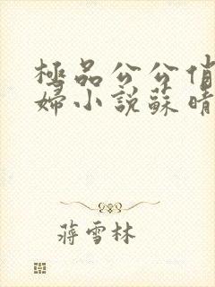 极品公公俏儿媳妇小说苏晴