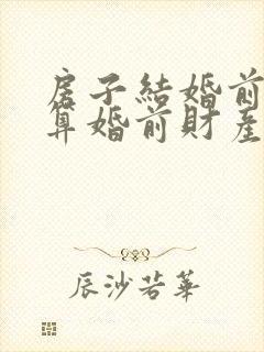 房子结婚前买的算婚前财产吗