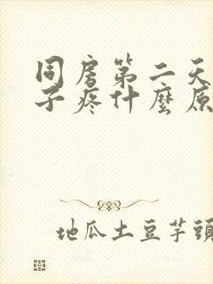 同房第二天小肚子疼什么原因