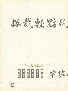 总裁轻点我怕疼封面