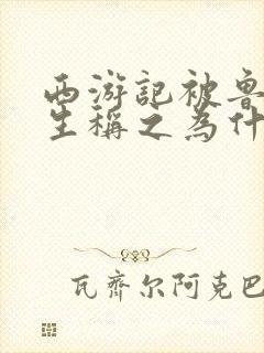 西游记被鲁迅先生称之为什么小说