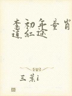 李初年童肖媛正道红途封面