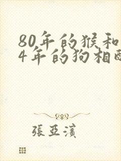 80年的猴和94年的狗相配吗封面