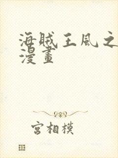 海贼王风之动漫漫画封面