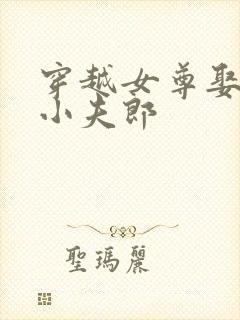 穿越女尊娶官配小夫郎