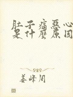 肚子痛恶心想吐是什么原因引起的