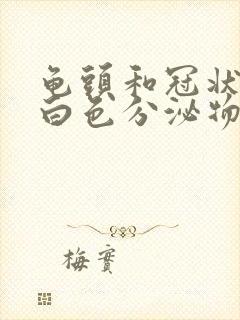 龟头和冠状沟有白色分泌物