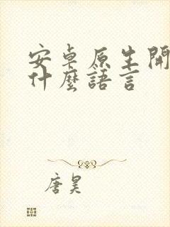 安卓原生开发用什么语言