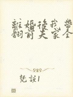 离婚后我带娃虐翻前夫家全集免费封面