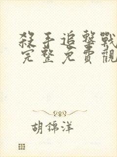 杀手追击战电影完整免费观看中文