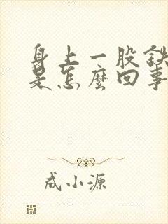 身上一股铁锈味是怎么回事封面