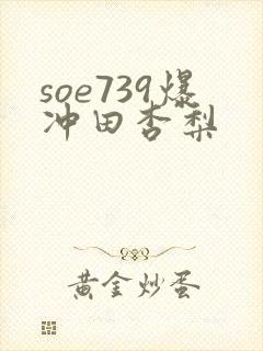 soe739爆冲田杏梨