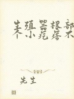 生殖器根部长了个小疙瘩不痛不痒