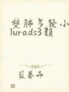 双肺多发小结节lurads3类