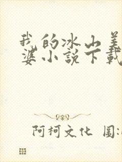我的冰山美女老婆小说下载
