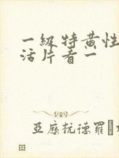 一级特黄性色生活片看一