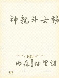 神龙斗士动画片