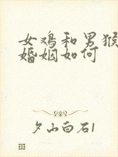 女鸡和男猴相配婚姻如何