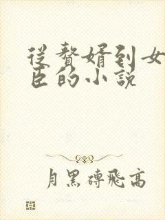 从赘婿到女帝宠臣的小说