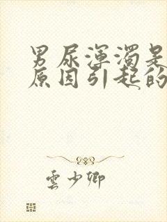 男尿浑浊是什么原因引起的