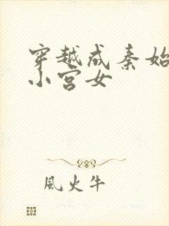 穿越成秦始皇的小宫女