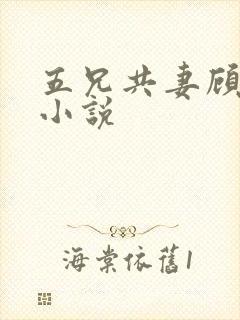 五兄共妻顾心儿小说