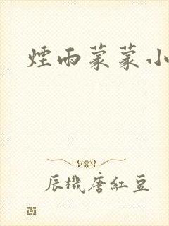 烟雨蒙蒙小说封面