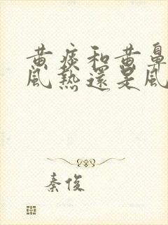 黄痰和黄鼻涕是风热还是风寒