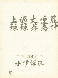 上过大便屁眼火辣辣疼为什么封面